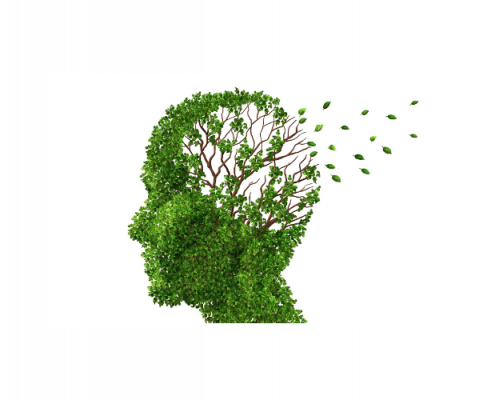 Kopf aus Blättern löst sich auf