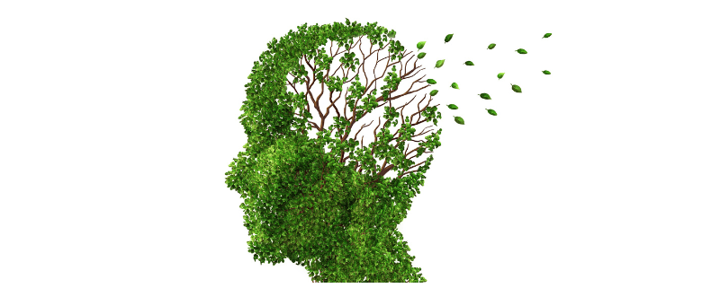 Kopf aus Blättern löst sich auf